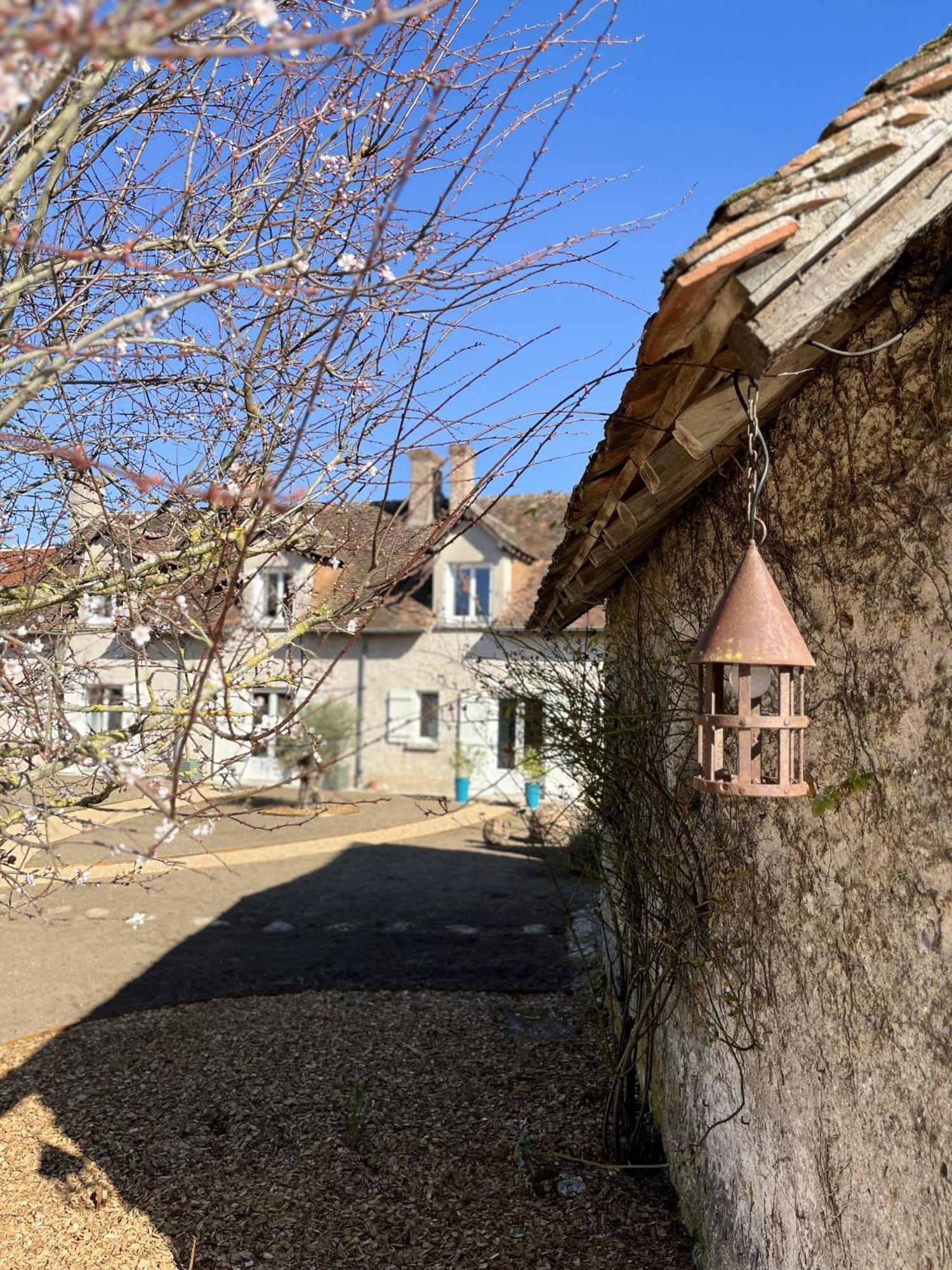 مبيت وإفطار Vineuil  Nuits De Loire -Entre Blois Et Chambord الغرفة الصورة